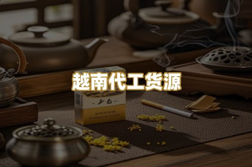 越南代工货源